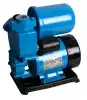 FIXTEC 0.5HP Self-priming Peripheral Pump , 370W - image