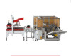 AUTOMATIC CARTON ERECTOR AND CARTON SEALING MACHINE - image