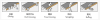 Applies the full-automatic edge banding machine  FZ280 - image