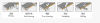 Applies the full-automatic edge banding machineFZ290 - image