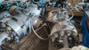 Petrol Valves GATE, ASME 2500, 8 - image